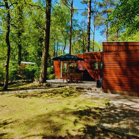 Villa Wooden Nature Chalet - Dennenrhode Doornspijk Extérieur photo