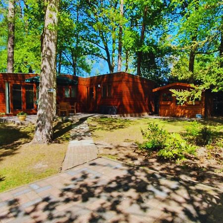 Villa Wooden Nature Chalet - Dennenrhode Doornspijk Extérieur photo