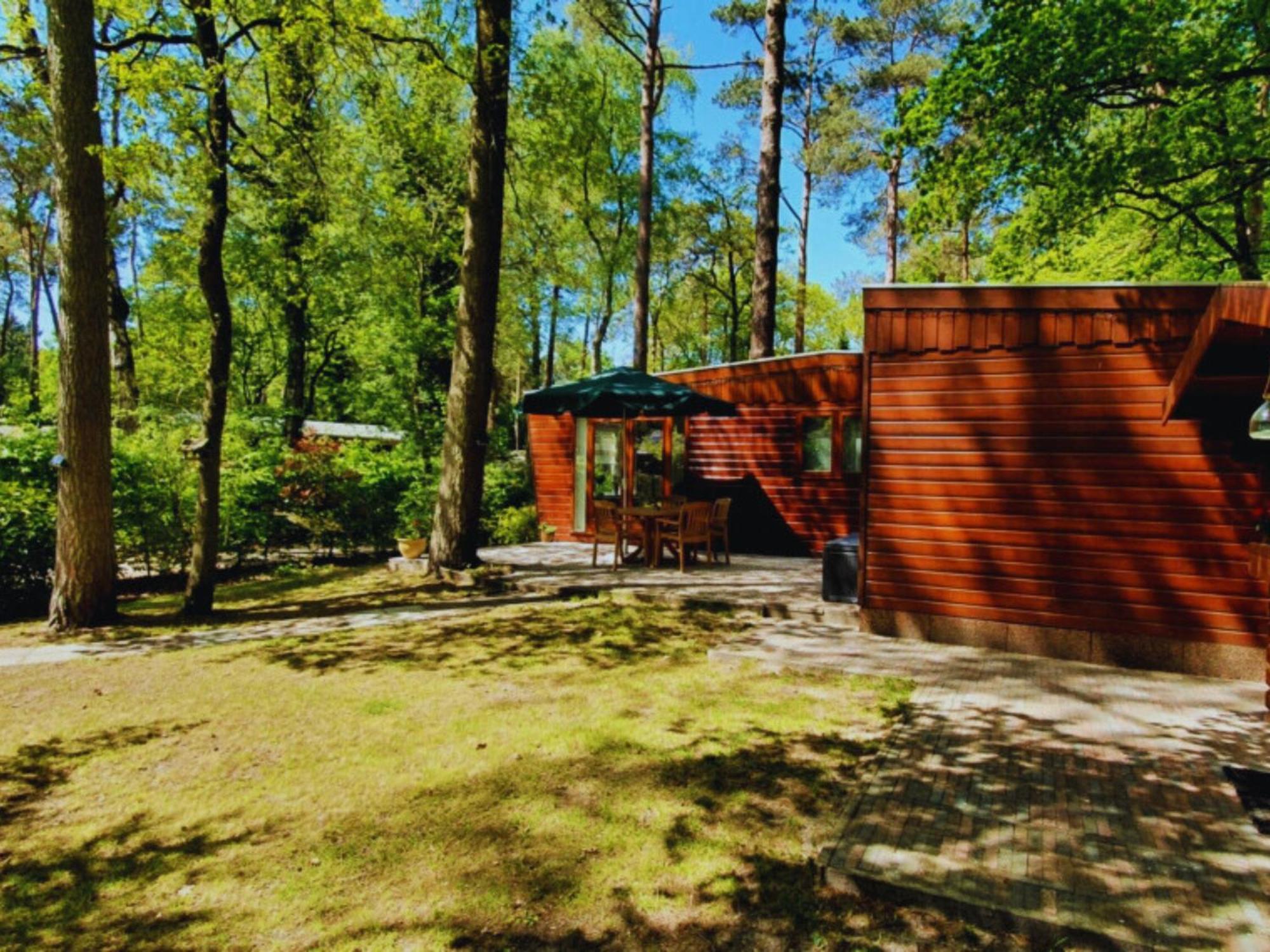 Villa Wooden Nature Chalet - Dennenrhode Doornspijk Extérieur photo